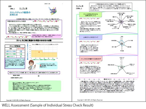 WELL Assessment (Sample of Individual Stress Check Result)